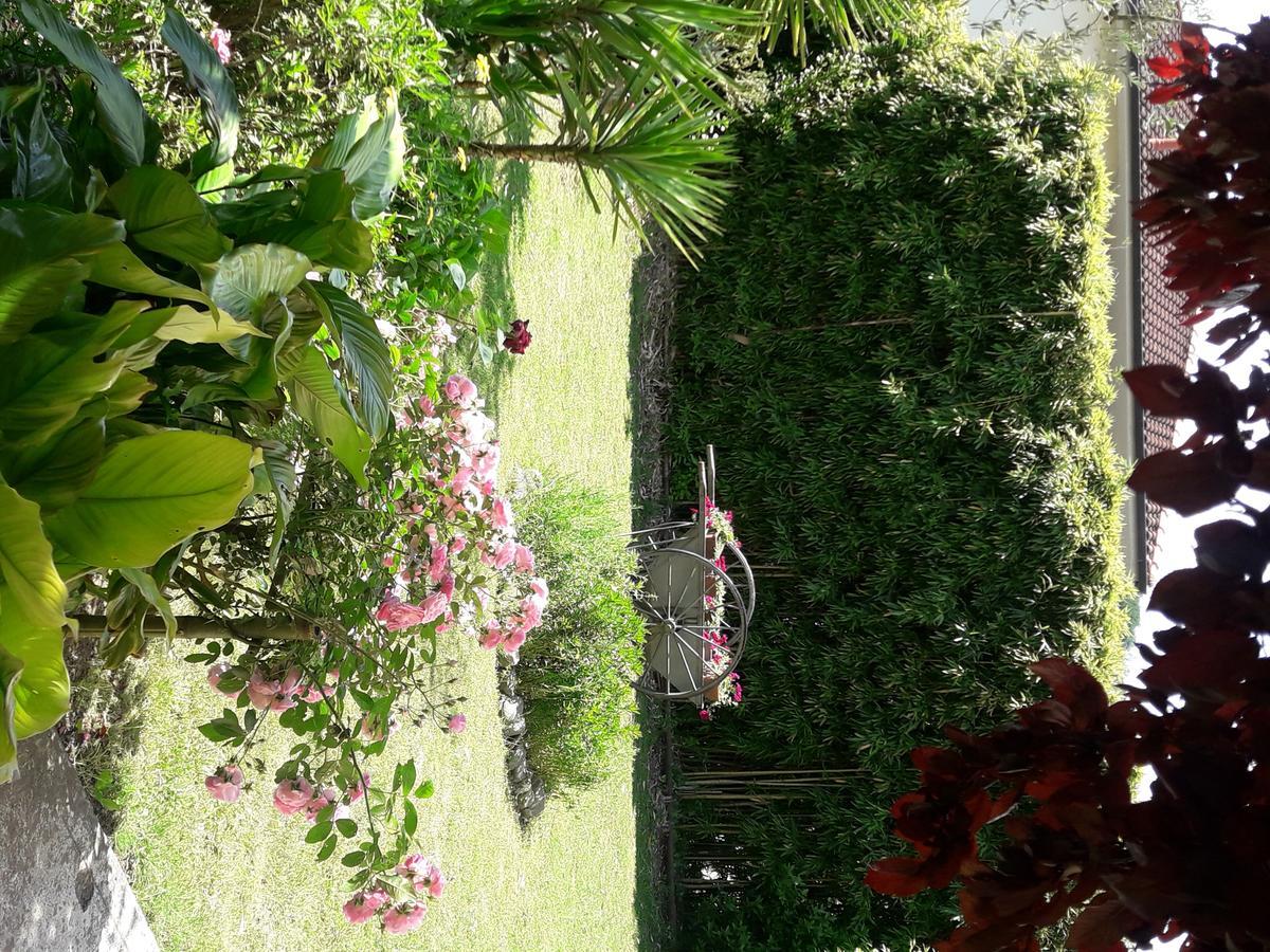 Apartamento Aliso' Sarzana Exterior foto